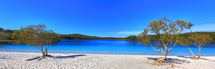 Lake McKenzie - Fraser Island - QLD (PB5D 00 51A1661)